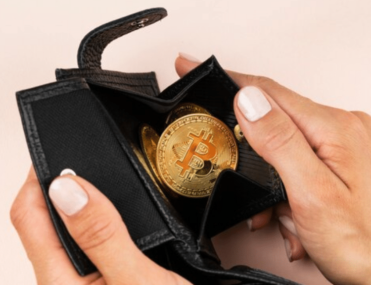 carteira com uma criptomoeda bitcoin dentro